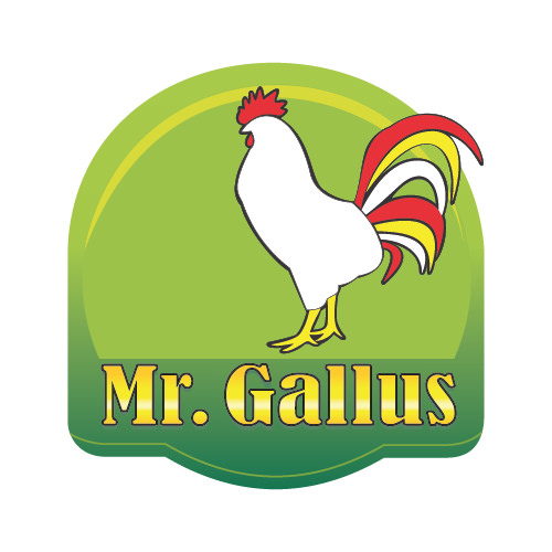 MR. GALLUS